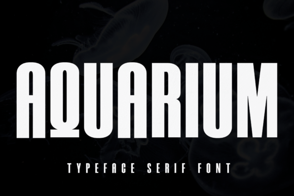 Aquarium: A Bold and Simple Display Font for Makers