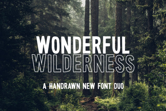 Wonderful Wilderness: Elevate Your Campaign with a Bold Display Font